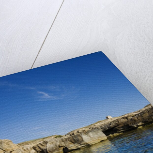 Rocky landscape near Fungus Rock, Dwejra, Gozo, Malta by Anonymous