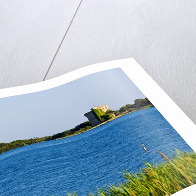 View of lake and reeds, Capalbio, Tuscany, Italy by Anonymous