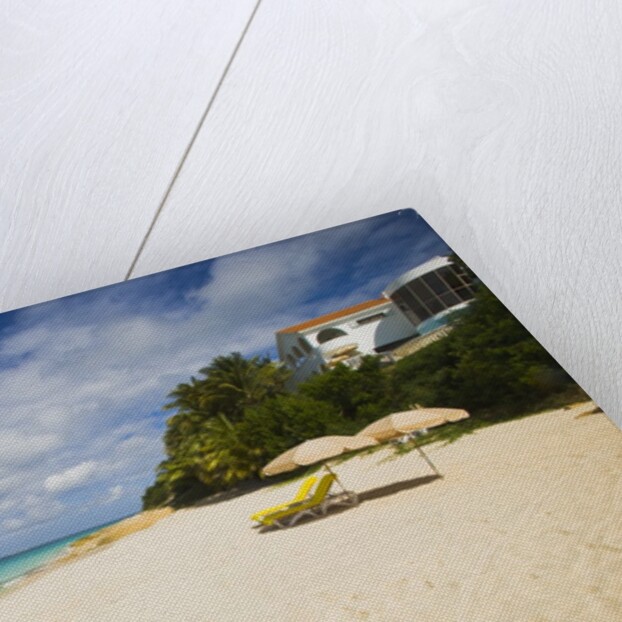 View of Turtle Cove beach, Lesser Antilles, Anguilla by Anonymous