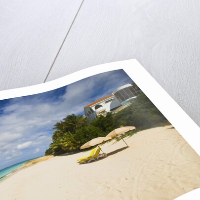 View of Turtle Cove beach, Lesser Antilles, Anguilla by Anonymous