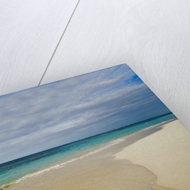 View of Shoal Bay, Anguilla, Lesser Antilles by Anonymous