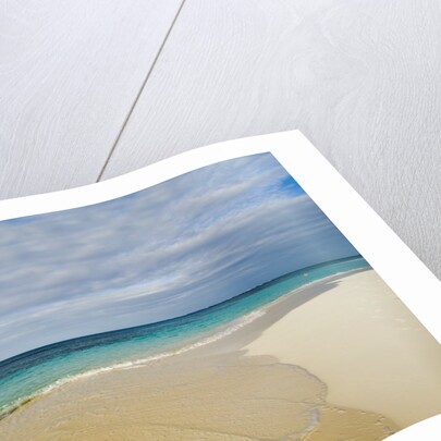 View of Shoal Bay, Anguilla, Lesser Antilles by Anonymous
