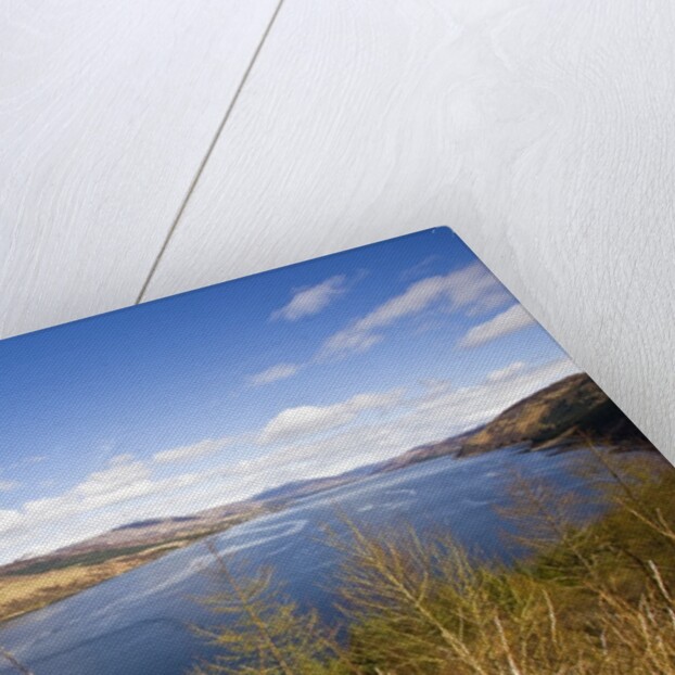 Scenic view of Lochcarron, Scotland, United Kingdom by Anonymous