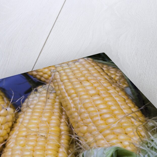 Fresh sweet corn in Carmel Market by Anonymous
