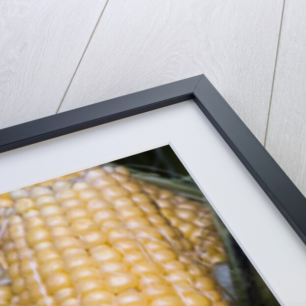 Fresh sweet corn in Carmel Market by Anonymous