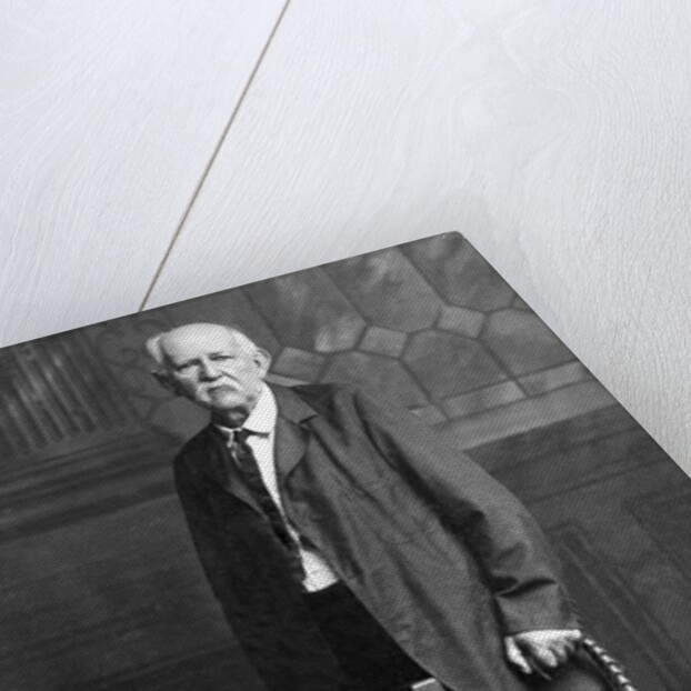 Senior man portrait, ca. 1910 by Anonymous