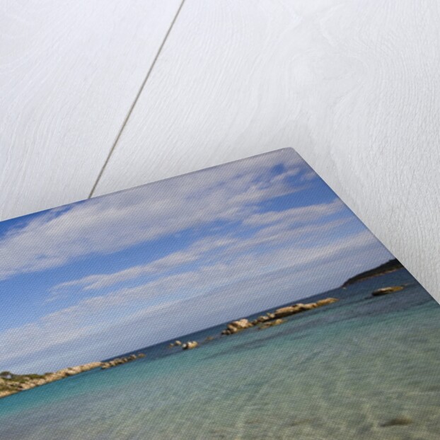 Beach near Porto Novo gulf, Corsica, France by Anonymous