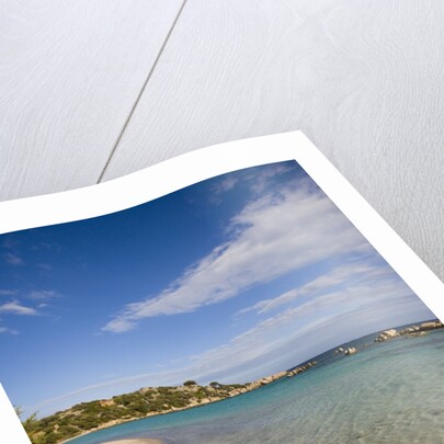 Beach near Porto Novo gulf, Corsica, France by Anonymous