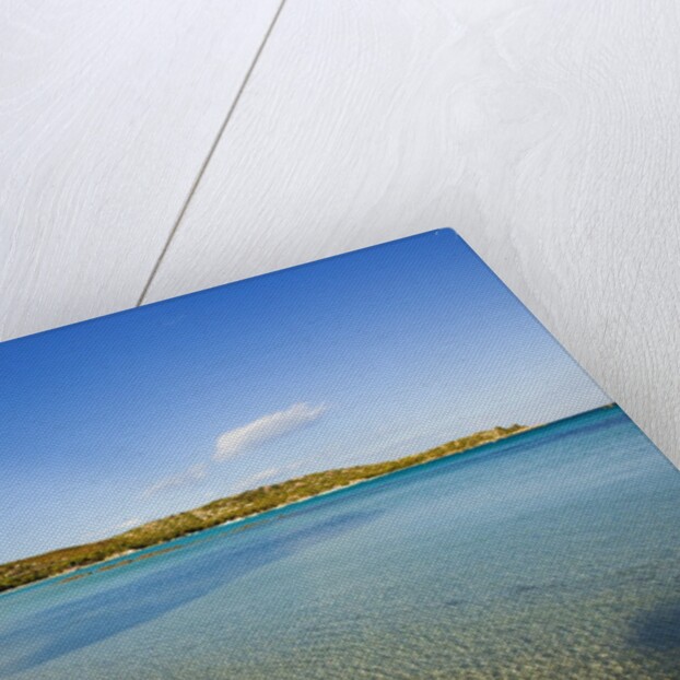 View of Santa Giulia bay, Corsica, France by Anonymous