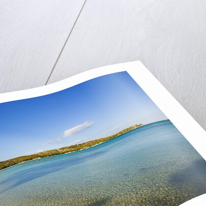 View of Santa Giulia bay, Corsica, France by Anonymous