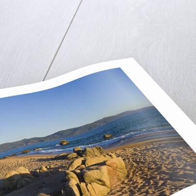 Beach near Abbartello, Corsica, France by Anonymous