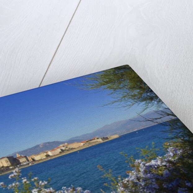 View of town from Lantivy seaside, Ajaccio, Corsica, France by Anonymous