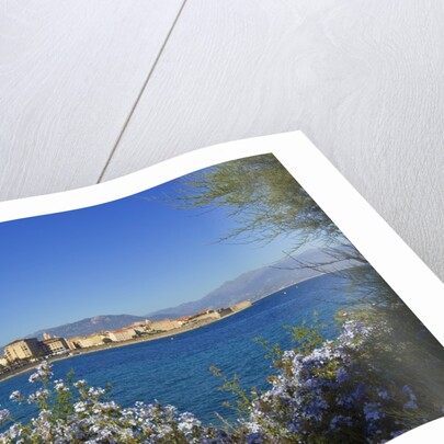 View of town from Lantivy seaside, Ajaccio, Corsica, France by Anonymous