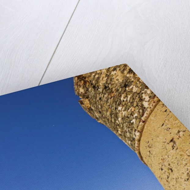 View of Sanguinaires Islands from Genovese tower of Parata Point, Ajaccio, Corsica, France by Anonymous