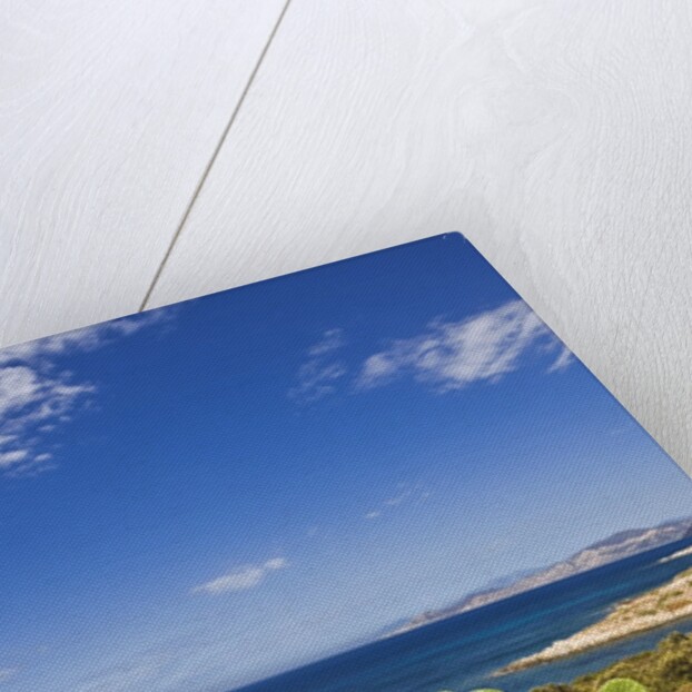 View near Ostriconi beach, Corsica, France by Anonymous