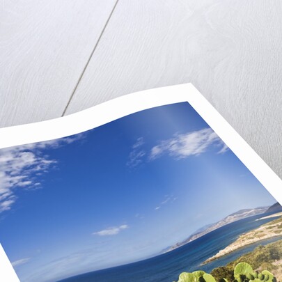 View near Ostriconi beach, Corsica, France by Anonymous