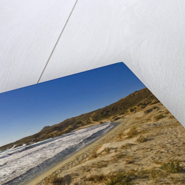 View of Ostriconi beach, Corsica, France by Anonymous