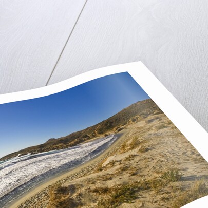 View of Ostriconi beach, Corsica, France by Anonymous