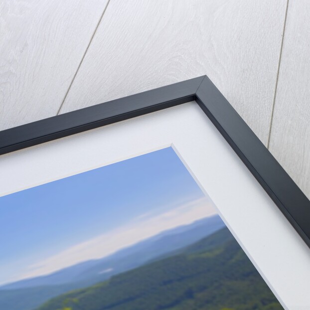 Mt. Hood National Forest by Anonymous