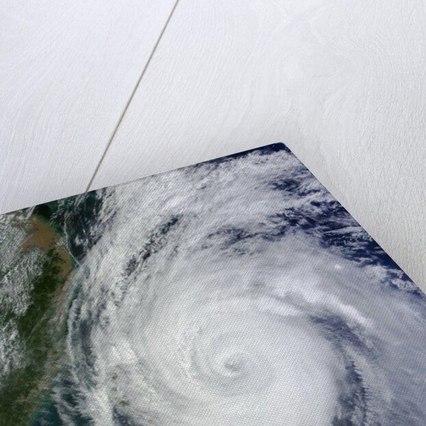 Typhoon Jelawat by Anonymous