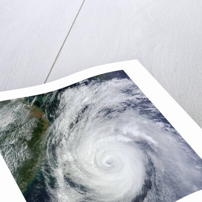 Typhoon Jelawat by Anonymous