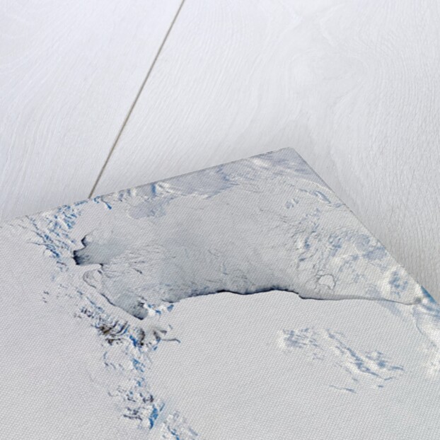 Western Ross Sea and Ice Shelf, Antarctica by Anonymous