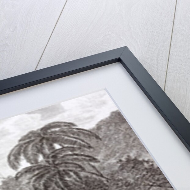 The death of Captain James Cook. 1728 - 1779 by Anonymous