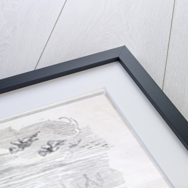 Railway Mania cartoon 0f 1845 by Anonymous