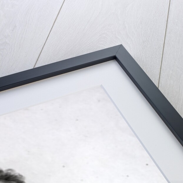 John Sell Cotman (1782 â€“ 1842) - Artist by Anonymous