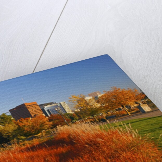 The Garden at South Waterfront Park, Portland Oregon. Pacific Northwest by Anonymous