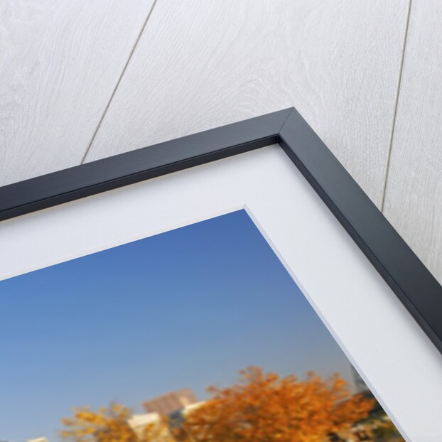 The Garden at South Waterfront Park, Portland Oregon. Pacific Northwest by Anonymous