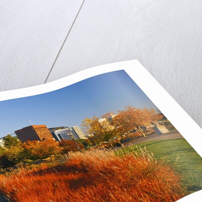 The Garden at South Waterfront Park, Portland Oregon. Pacific Northwest by Anonymous