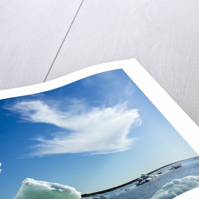 Sea Ice, Hudson Bay, Canada by Anonymous