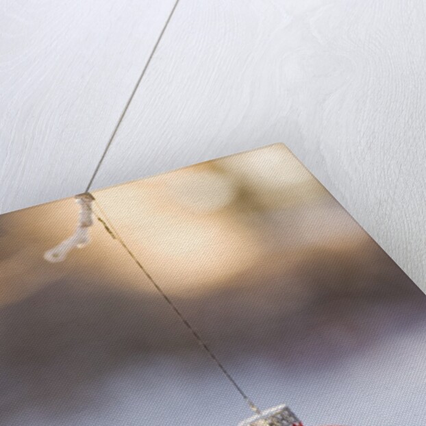 Close-up of golden Christmas tree on red bauble against blurred background by Anonymous