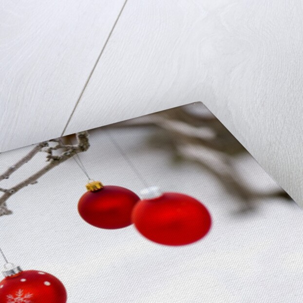 Close-up of red baubles hanging on branch against blurred background by Anonymous