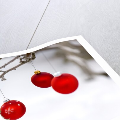 Close-up of red baubles hanging on branch against blurred background by Anonymous