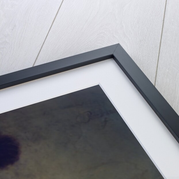 An Old Man in Military Costume by Rembrandt van Rijn