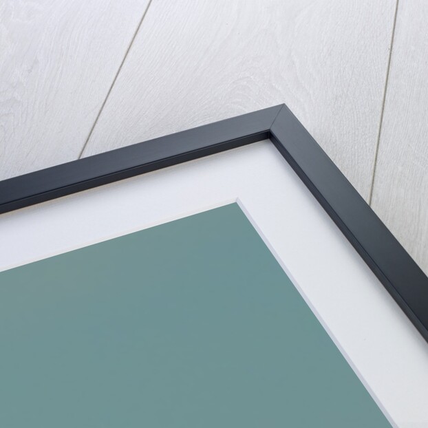Wood stork flying against blue sky by Anonymous