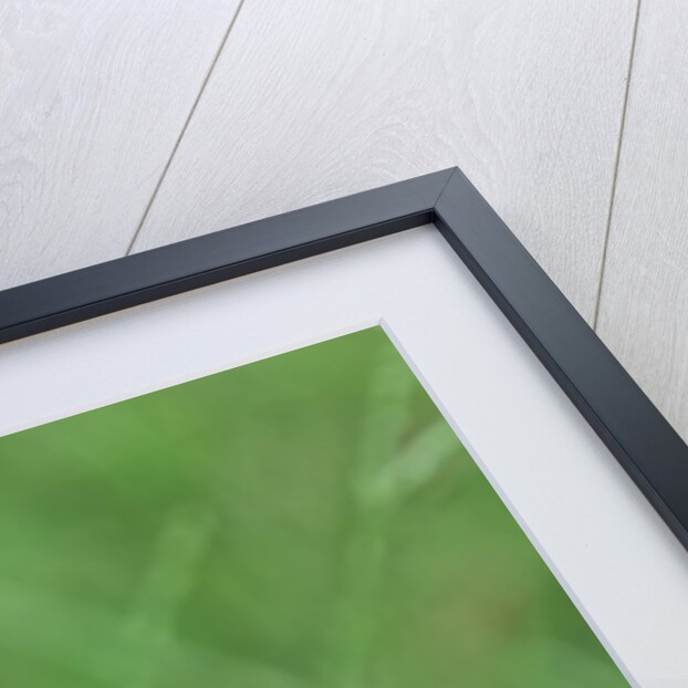 Painted Lady Butterfly resting on flower bud by Anonymous
