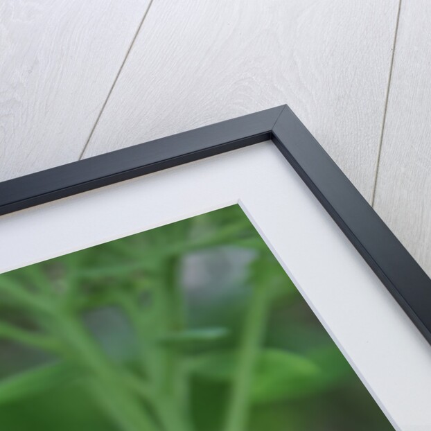 Painted Lady Butterfly resting on flower bud by Anonymous