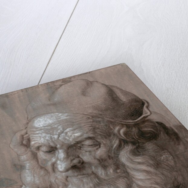 Head of an Old Man by Albrecht Dürer