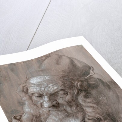 Head of an Old Man by Albrecht Dürer