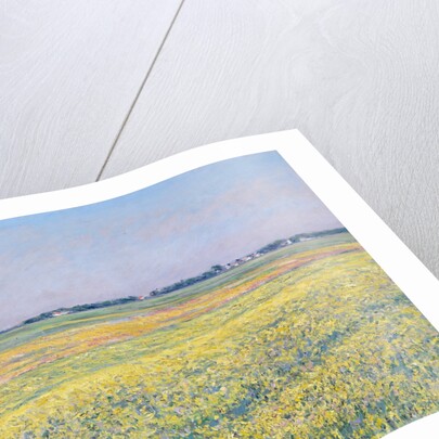 The Plain of Gennevilliers, Yellow Fields by Gustave Caillebotte