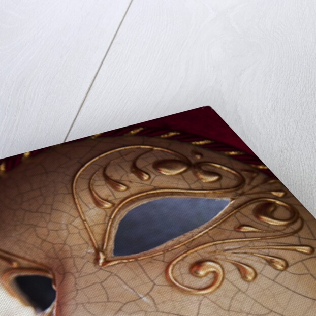 Women's Carnival Mask With Gold Trim by Anonymous