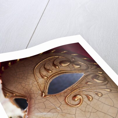 Women's Carnival Mask With Gold Trim by Anonymous