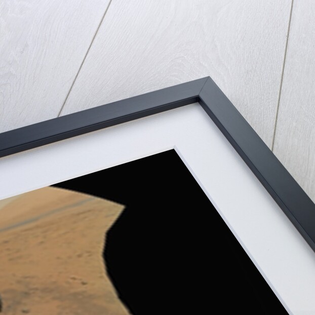 Curiosity Rover at Rocknest Site by Anonymous