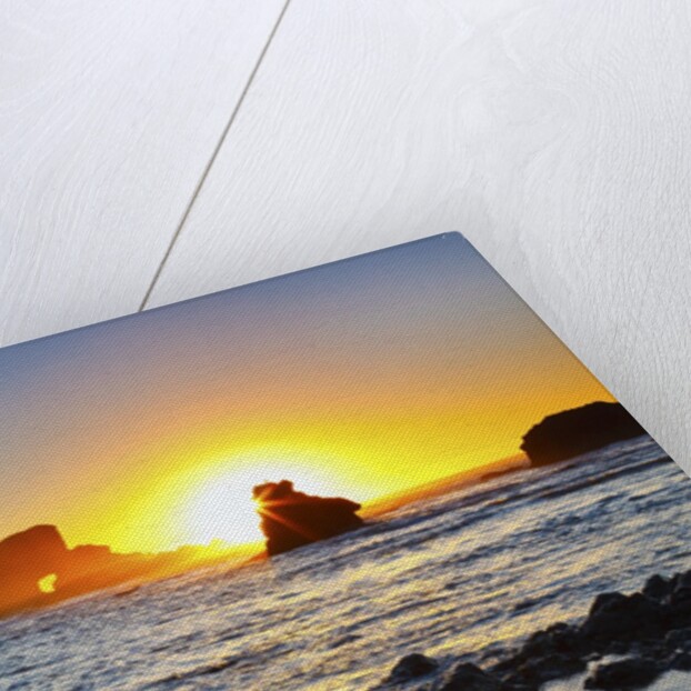 Sunset along Arch Rock, Ecola State Park, Oregon Coast, Pacific Northwest, United States by Anonymous