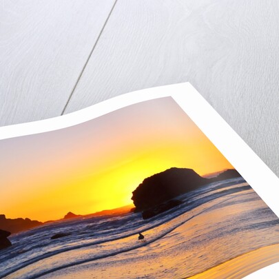 Sunset along Arch Rock, Ecola State Park, Oregon Coast, Pacific Northwest, United States by Anonymous