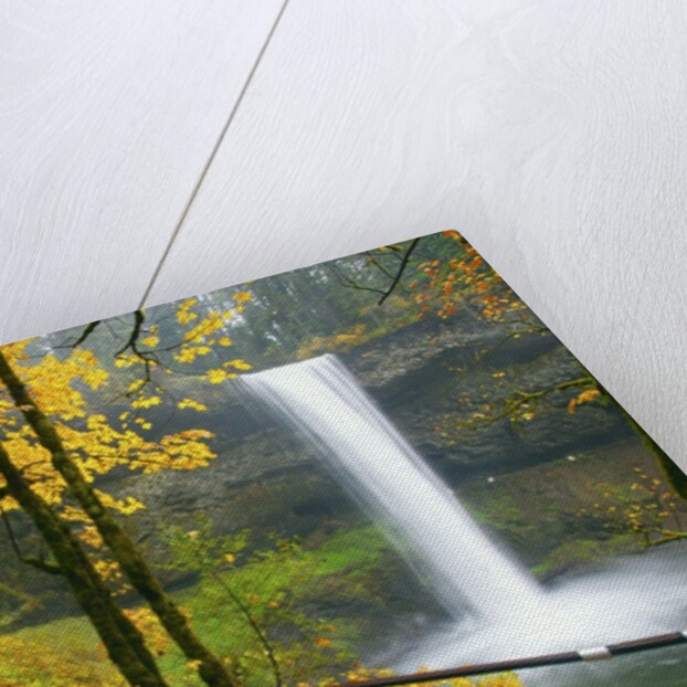 Fall colors add beauty to South South Silver Falls, Silver Falls State Park, Oregon by Anonymous
