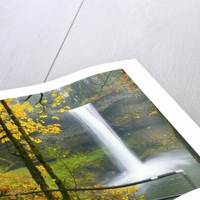 Fall colors add beauty to South South Silver Falls, Silver Falls State Park, Oregon by Anonymous